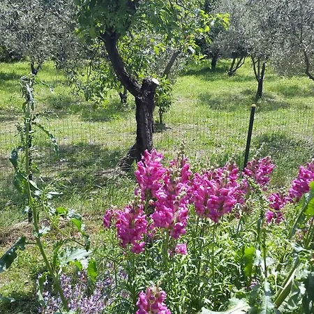 In Labin/istrien 27728 Apartment